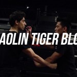 Shaolin Tiger Block | P3MA SKILLS TRAINING #5